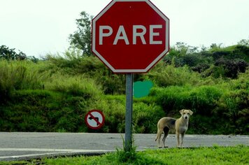 Sessão ordinária de 25 de agosto, terça