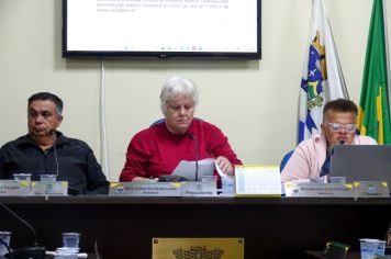 Mesa diretora apresenta dois projetos de lei: festa do “Pé Vermeio” e sanções a concessionárias e permissinárias