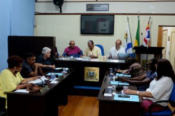 Volta das aulas de capoeira, fiscalização de caminhões que transportam eucalipto e aumento dos salários dos secretários estiveram em discussão na 4ª sessão do ano 